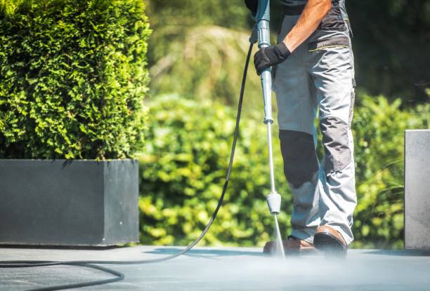 Best Sidewalk and Walkway Cleaning  in Springdale, NC